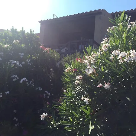Casa Rosetta Tatil Evi Costa Paradiso
